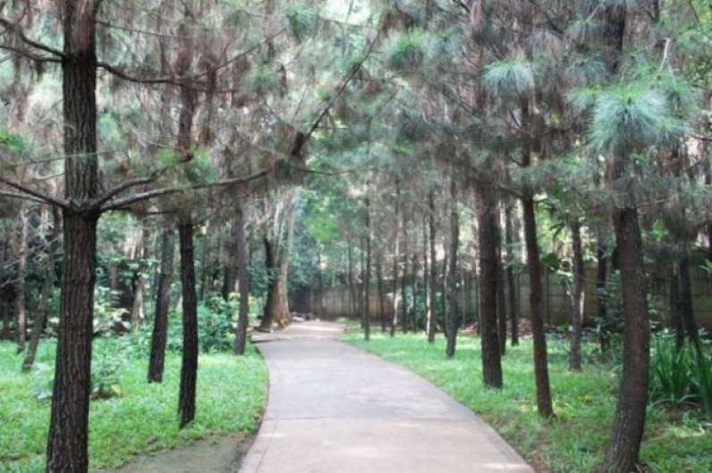 Taman Kota 1