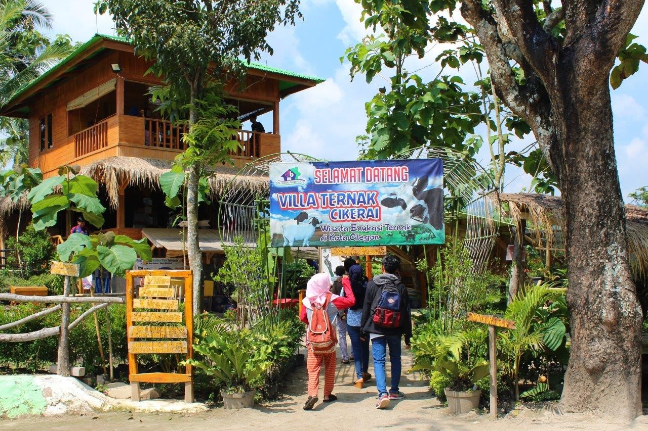 Vila Ternak Cikerai