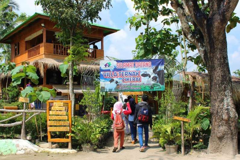 Vila Ternak Cikerai